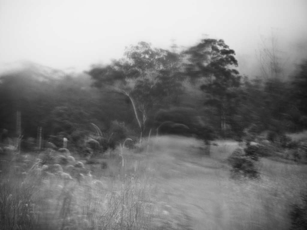 700|525
