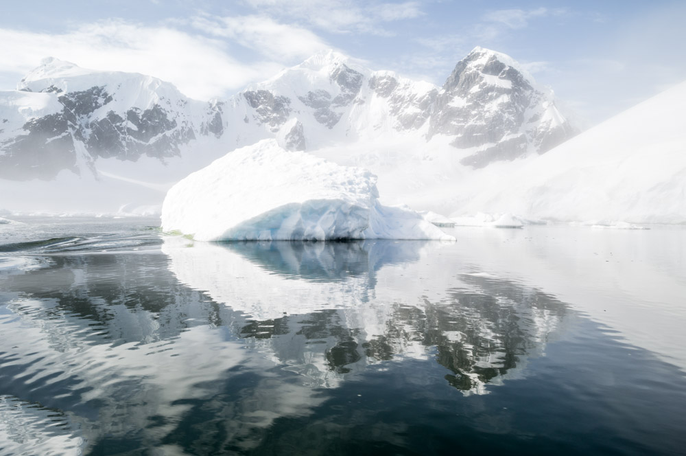 JulieStephenson Antarctica--9