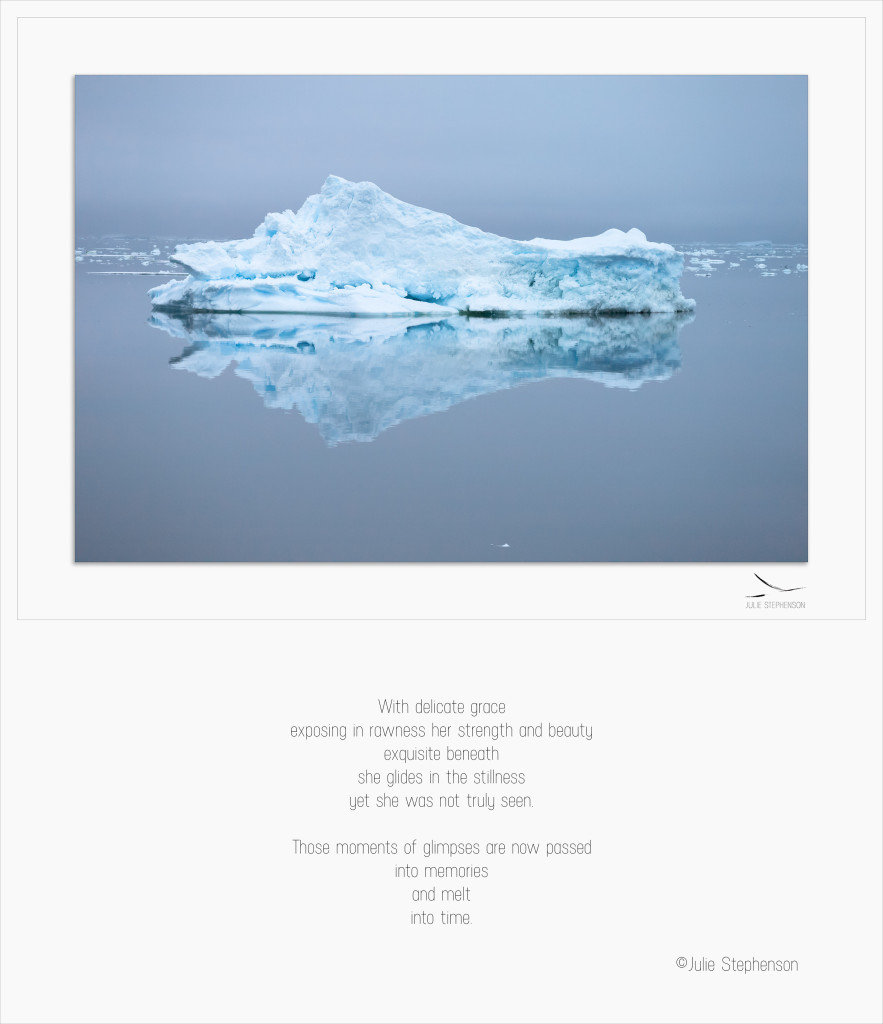 She Glides by Julie Stephenson_Antarctica