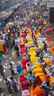 This is my top number ONE Pro-tip.

Do you want meaningful work - or empty trash?!

I’m a visual artist and weaver, and this number one tip for meaningful work is for all creatives and your chosen medium! 

‘Tell your stories from your own experiences!’

That’s it! 

My latest body of work is based on the Mullik Ghat markets in Kolkata India, where we drove our vintage car through India, Bhutan and Myanmar.  

For more - Come follow along! 

#artisanmade #roadtripindia #weaving #creativetips #protip