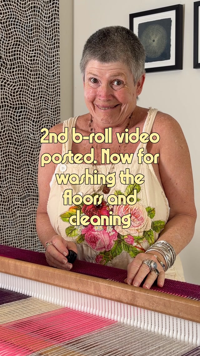 Now for washing the floors and cleaning …. (Ooops is that weaving?)
I know I was supposed to do something. Come follow along to see what I do next time when I plan to vacuum.