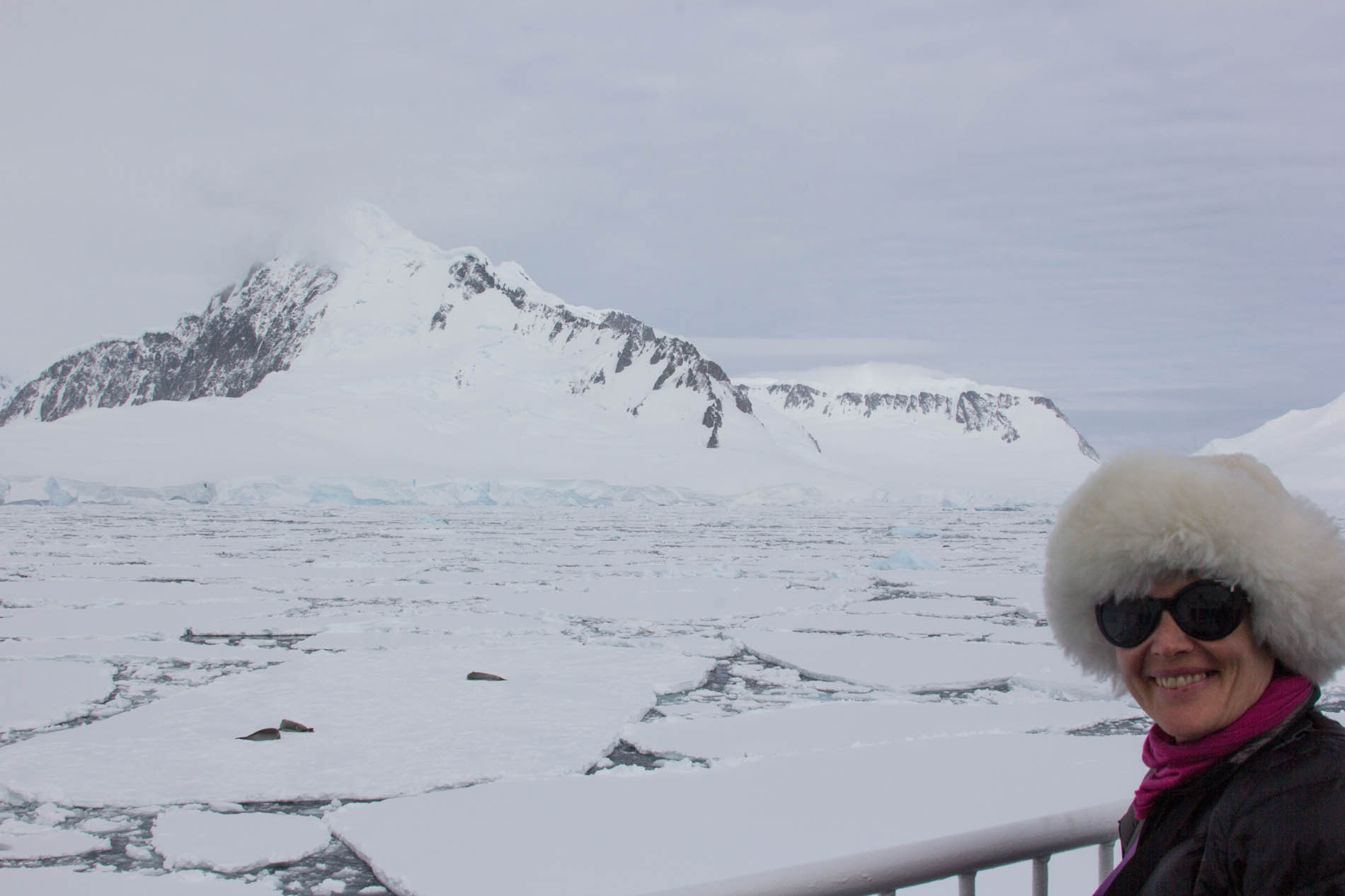 Julie Stephenson 27 Julie Stephenson