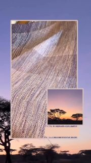 Why do I choose these colours for my handwoven blankets? 

As an artist, each and every work I create is an expression of my lived experience. I’ve woven this beautiful blanket from my experiences with my family in Africa.

My yarns and colours for each of my weavings are consciously chosen. I choose colours which I feel from my memories. As I weave, I let my instincts guide me in choosing from the colours I’ve gathered.

Colour is important. Every colour has a purpose. For me, it is the key to the soul of a piece.

No, I do not approach my weaving in a way that is “a good way to use up left-over or scrap yarn”. That is just not how I roll. 

If I were doing a painting, I would not use a paint colour just for the sake of ‘finishing it all up’, so why would I do that with my weaving? Would you? 

What do you think about the colour choices in my handwoven blankets? 

I’d also love to hear how you approach colour in your own creative work—comments, questions and DMs are always welcome.
 
Beautiful Yarns I’ve used in this blanket 
@louielolayarns  Merino Singles - Dusk Wings
@greatsouthernyarn,  Merino Elizabeth Macarthur - Yvette Coppersmith 
@viola.yarn - Merino - Crocus
@theurbanpurl High Twist Sock - Vintage Rose, Sock 4 ply - Hopeless Romantic
@litlg Moon - Pressed Flowers @skeinsisters 
@litlg Singles - French Lavender
@spincycle_yarns Metamorphic 
@walkcollection Cottage Merino, Powder
@hedgehogfibres Skinny Singles - Iris
@oystersandpurls BFL/Merino
@avfkw Flock - Hyacinth Marble
@treliz_colorispower , Psyche Deep End
@valley_maker , - Finn
@woollymammothfibres , Natural Sock
@garthenor Preseli - Orchid
@fibresmith Merino - Amethyst.

#uniquegiftideas #handwoven #artisan #africa